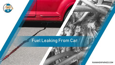 car leaking petrol|Car leaking fuel: Common causes and fixes